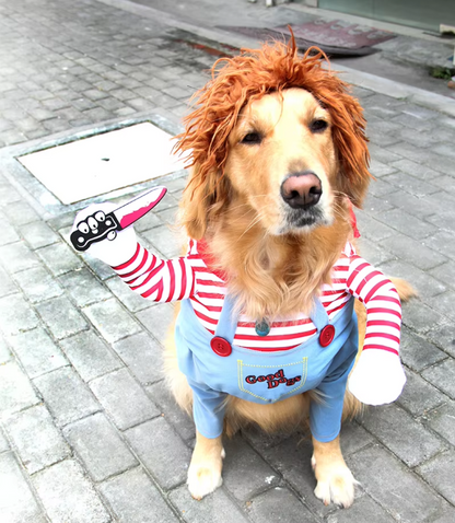 Medium-sized dog wearing a funny Halloween costume with adjustable straps.