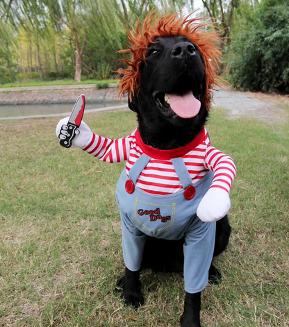 Medium-sized dog wearing a funny Halloween costume with adjustable straps.