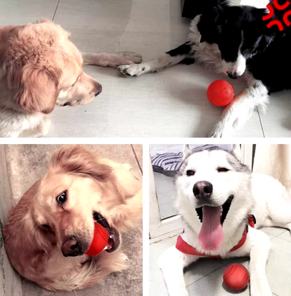 Durable red rubber dog ball made from TPR, designed for strong chewers and active dogs, available in multiple sizes.