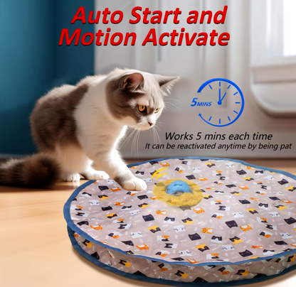 Rechargeable interactive cat toy ball with motion-activated play and smart rolling modes for indoor cats