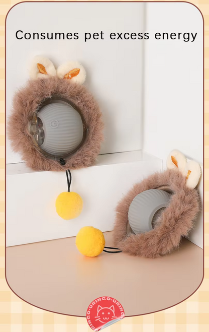 Rechargeable interactive cat toy ball with motion-activated play and smart rolling modes for indoor cats