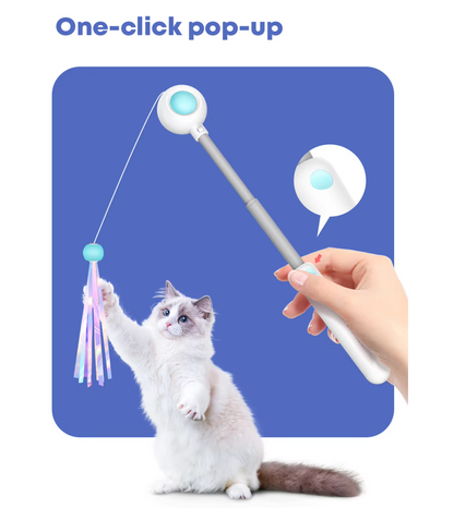 Cat playing with interactive gravitational teaser laser wand