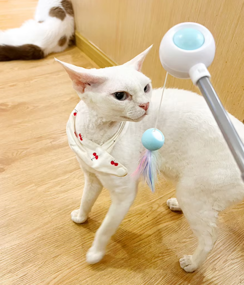 Interactive gravitational cat teaser with laser wand for engaging and safe play, designed for stimulating activity in cats.