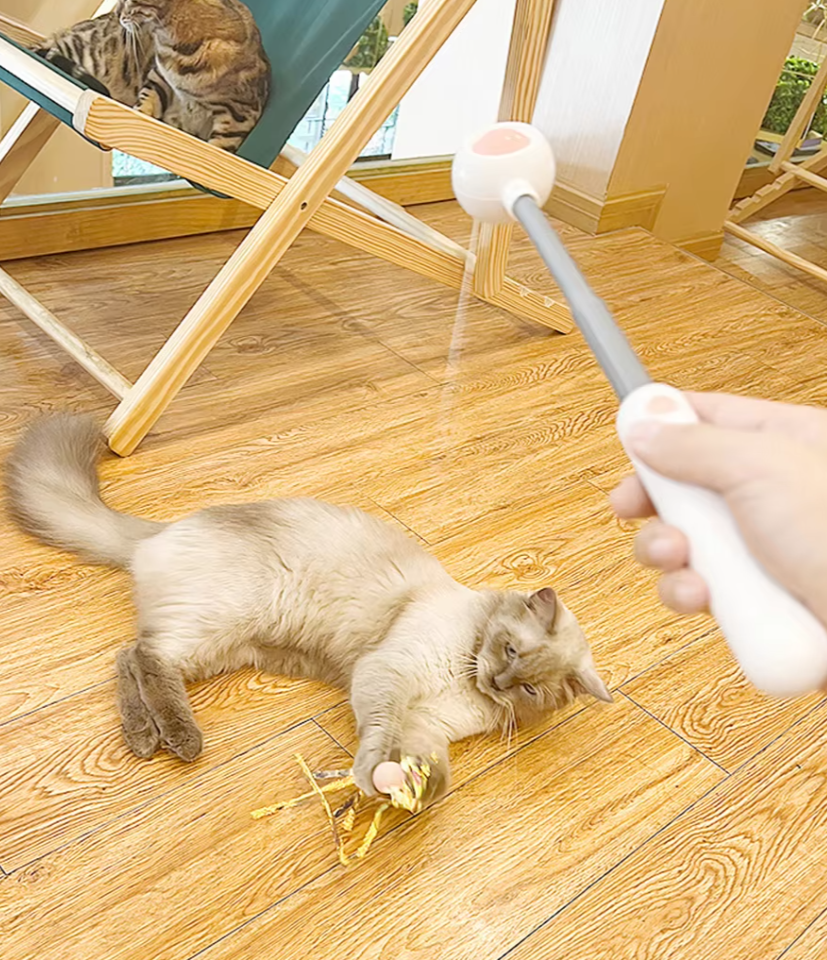 Interactive gravitational cat teaser with laser wand for engaging and safe play, designed for stimulating activity in cats.