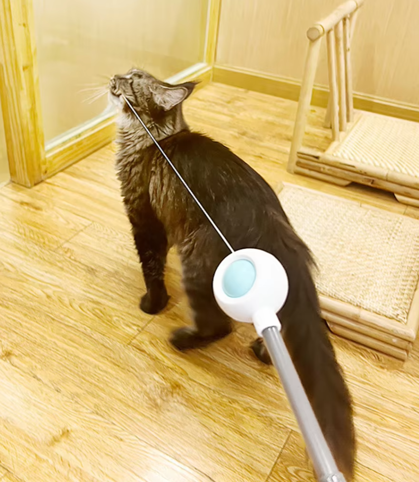 Interactive gravitational cat teaser with laser wand for engaging and safe play, designed for stimulating activity in cats.