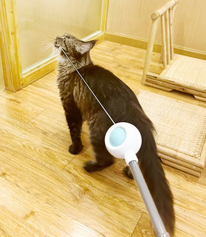 Cat playing with interactive gravitational teaser laser wand