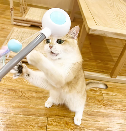 Cat playing with interactive gravitational teaser laser wand