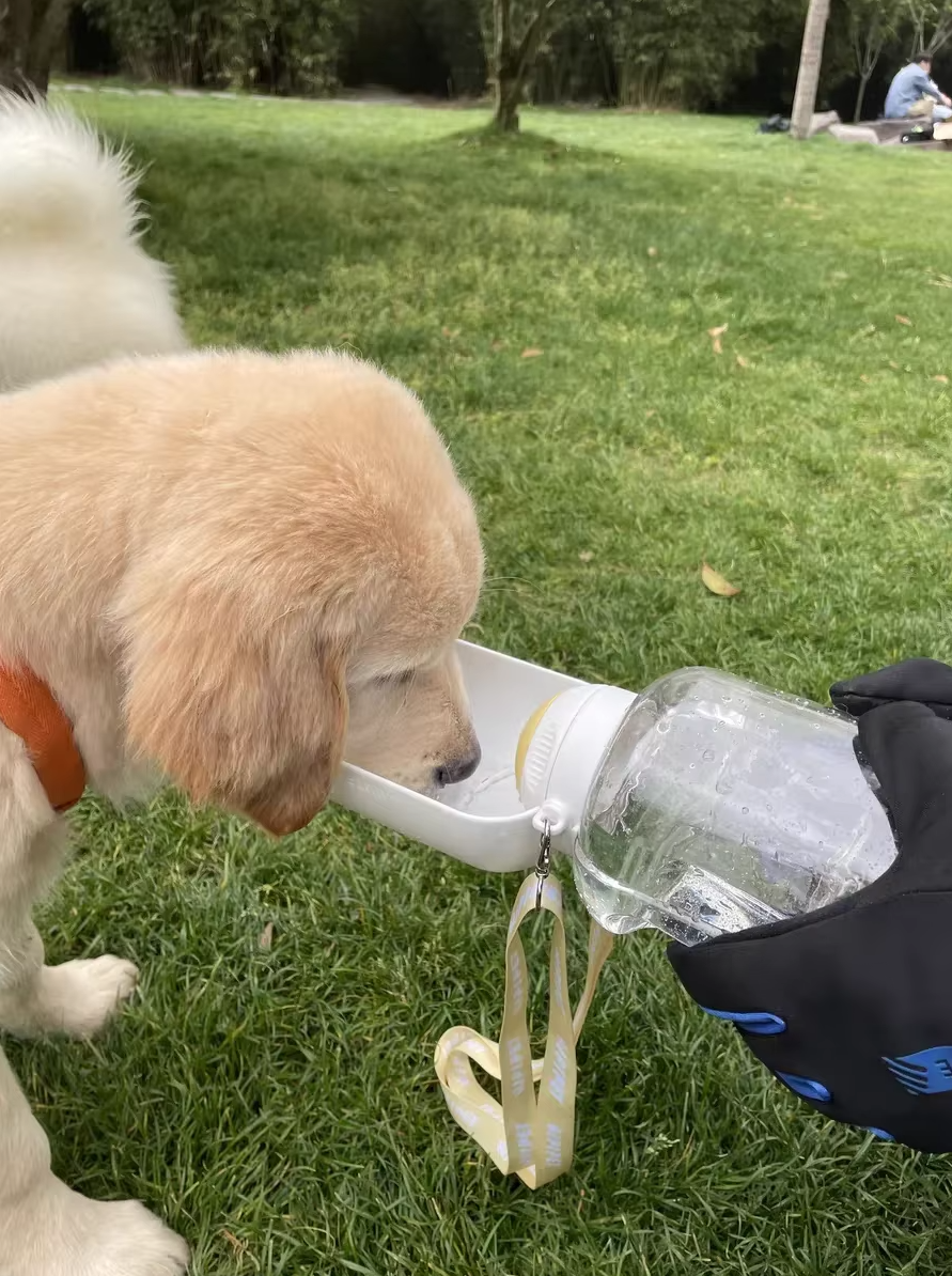 Portable 2-in-1 dog water and food dispenser with large capacity, ideal for outdoor travel with pets