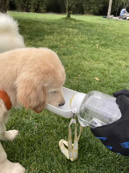 Portable dog travel water bottle with food container – ideal for hiking and trips