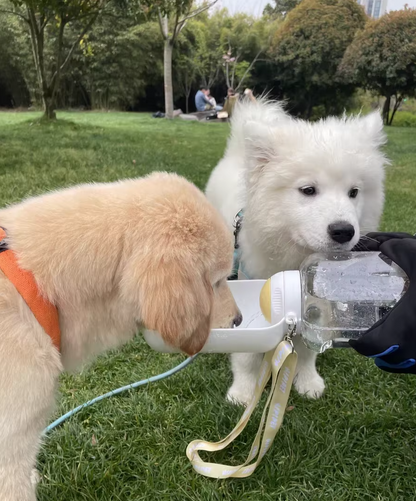 Portable dog travel water bottle with food container – ideal for hiking and trips