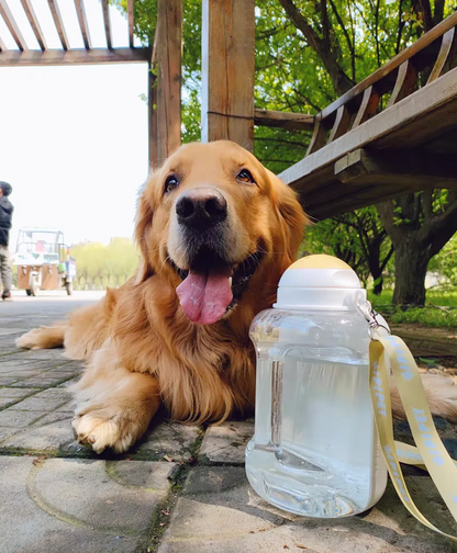 Portable dog travel water bottle with food container – ideal for hiking and trips