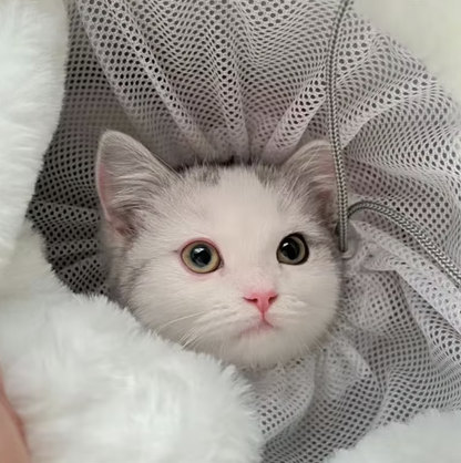 Pet Carrier Bag wearable plush nest backpack for small dogs and cats