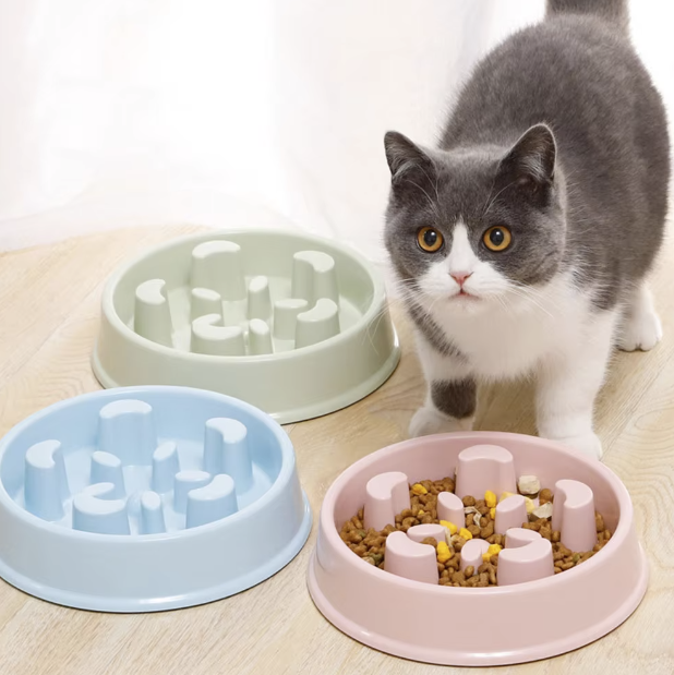 Anti-choking pet slow food bowl for cats and dogs, featuring a non-slip base and durable plastic construction for safe, healthy feeding habits.