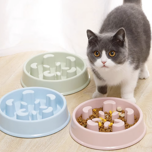 Pet Slow Food Bowl with raised obstacles to promote slower and safer eating for cats and dogs