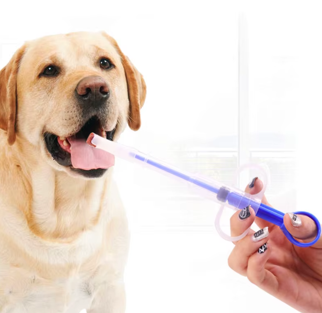 Gentle pet pill applicator syringe for safely administering medication to dogs and cats