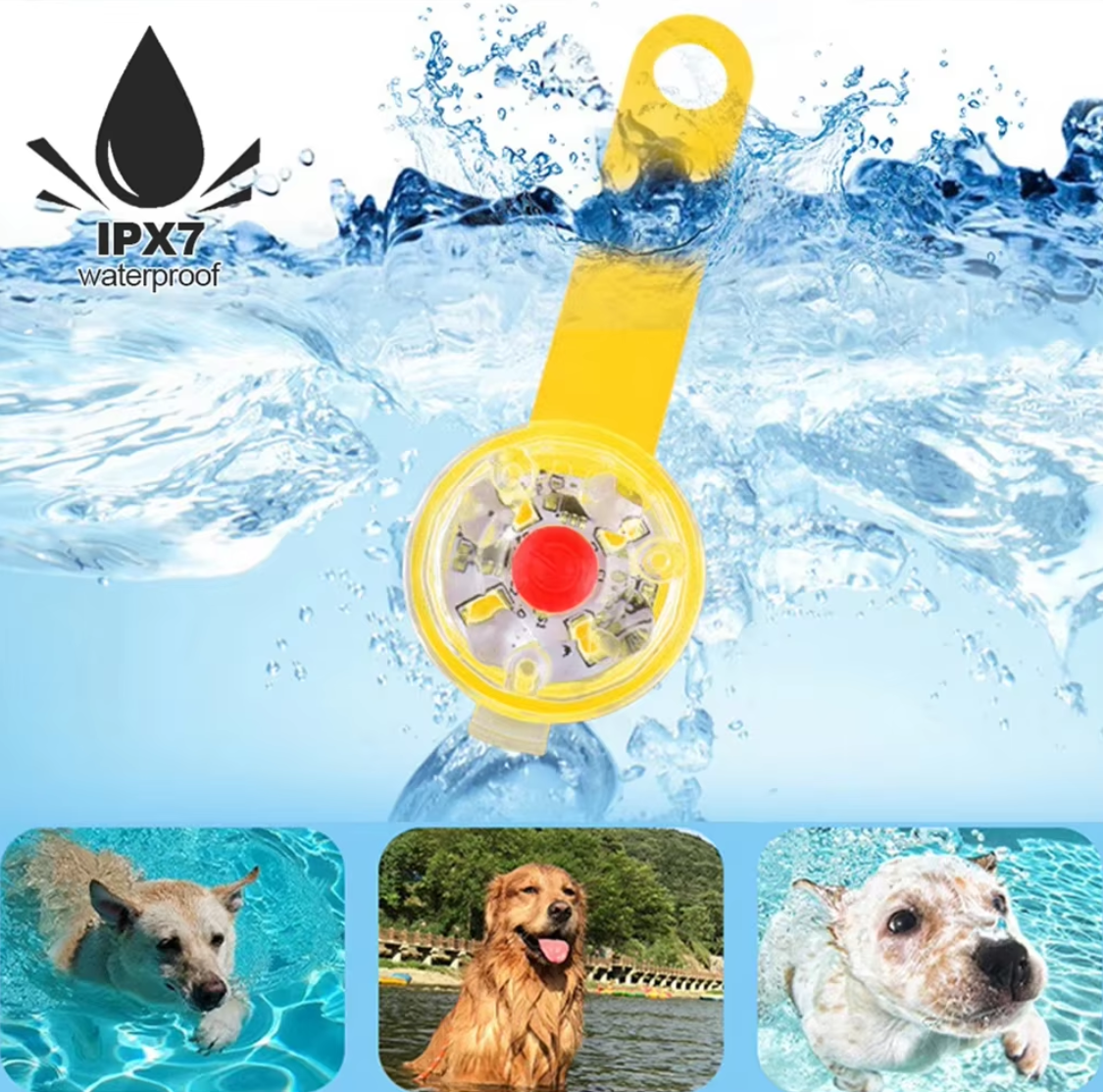 USB rechargeable LED pet collar pendant for nighttime safety and outdoor visibility