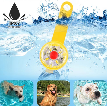 USB rechargeable waterproof LED collar pendant for pet visibility and safety