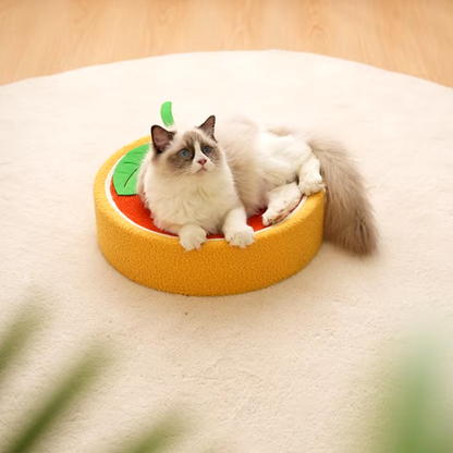 2-in-1 cat scratcher and bed with recyclable bowl-shaped sisal surface