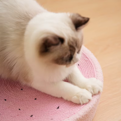 2-in-1 cat scratcher and bed with recyclable bowl-shaped sisal surface