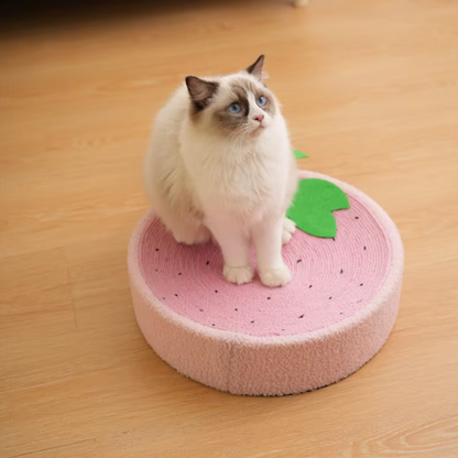 2-in-1 cat scratcher and bed with recyclable bowl-shaped sisal surface