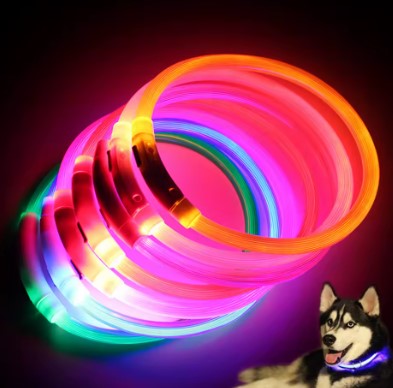 Rechargeable LED dog collar glowing in the dark, designed for safe and visible nighttime walks.