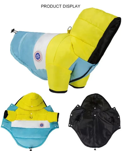 Winter cotton pet jacket for small dogs and cats with warm cozy fit