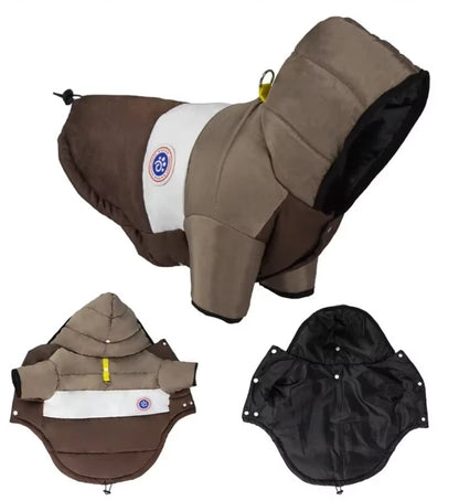 Winter cotton pet jacket for small dogs and cats with warm cozy fit