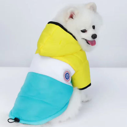 Winter cotton pet jacket for small dogs and cats with warm cozy fit