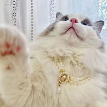 Small dog wearing antique pearl floral necklace with zircon accents