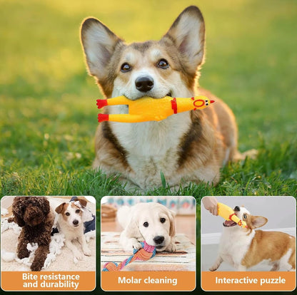Funny squeaky screaming chicken chew toy for dogs made from durable PVC