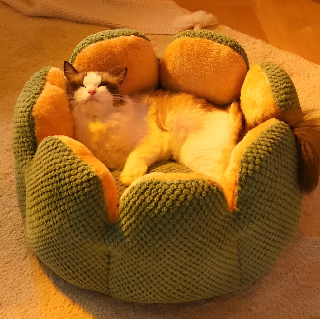 Plush round cat bed for cozy indoor naps