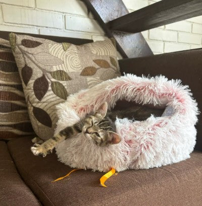 A cat stretch itself in a warm cat bed - Customer review photo
