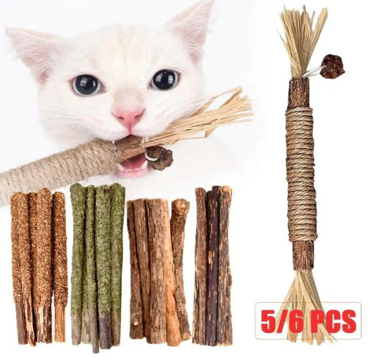 Natural catnip sticks for dental health and chewing