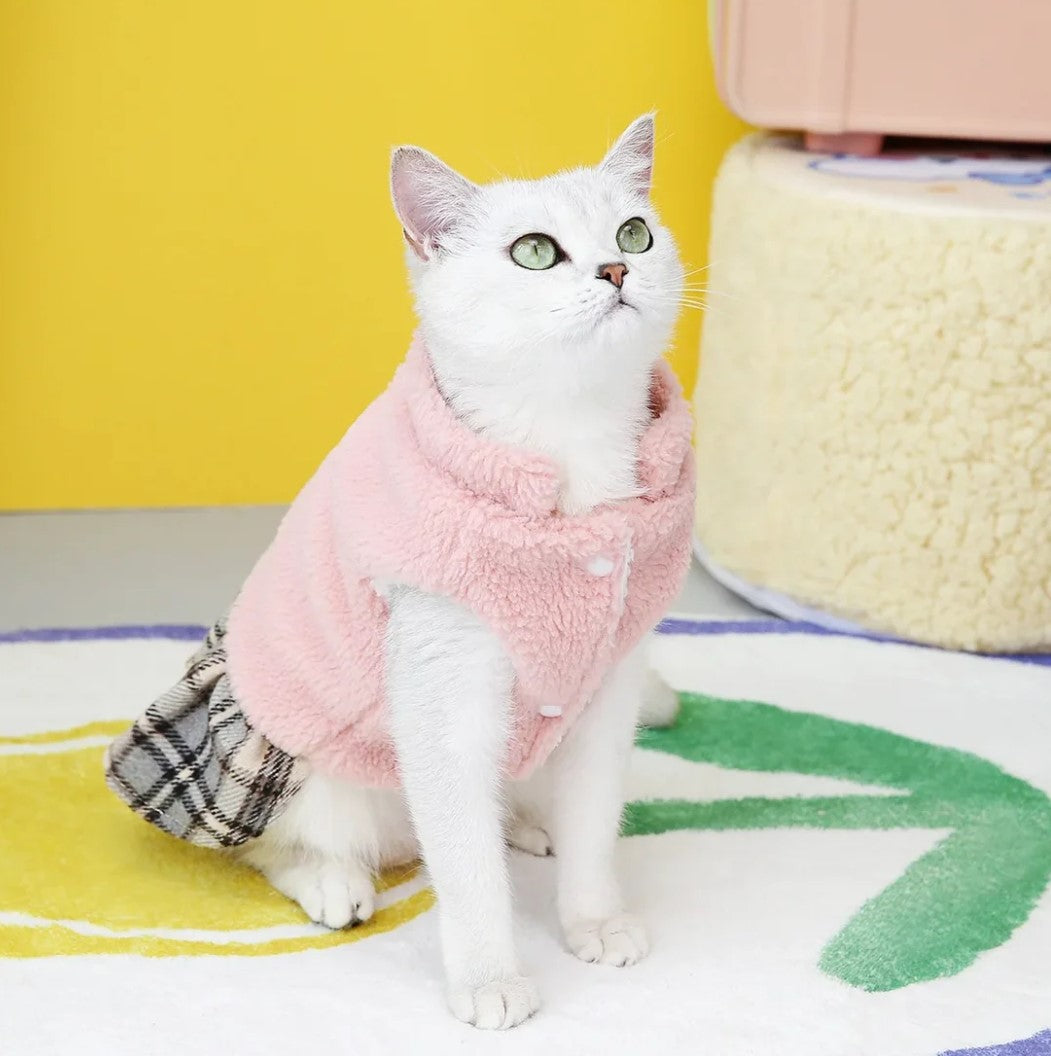 Cute cat wearing a stylish dress coat, perfect for special occasions or everyday cuteness