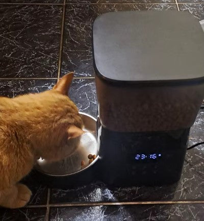 A cat wating with automatic cat feeder with timer for portion control - Customer review photo