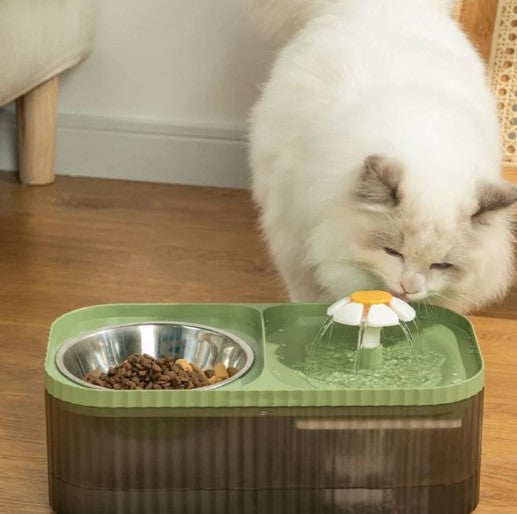 cat feeding station with food and water bowls
