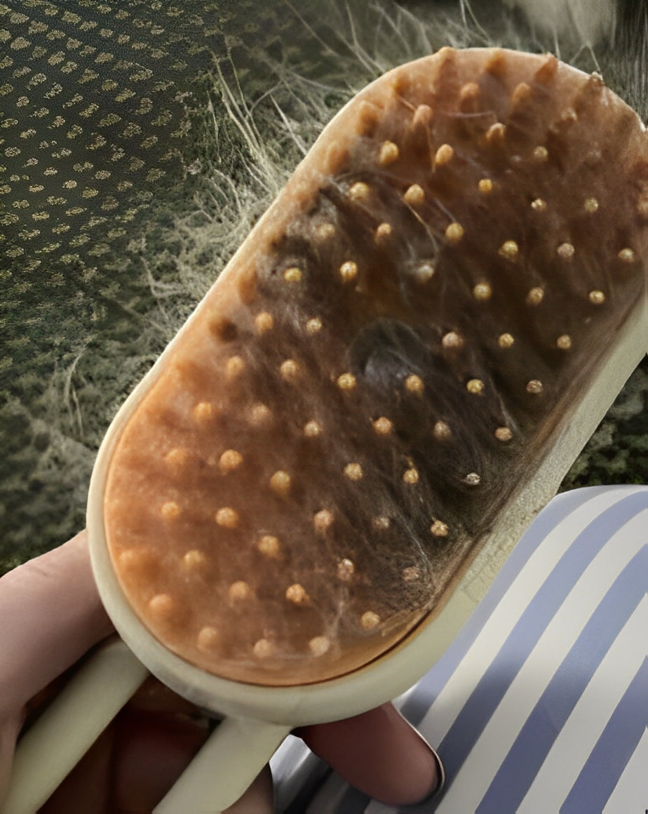 Soft bristle cat grooming brush for daily care - Customer review photo