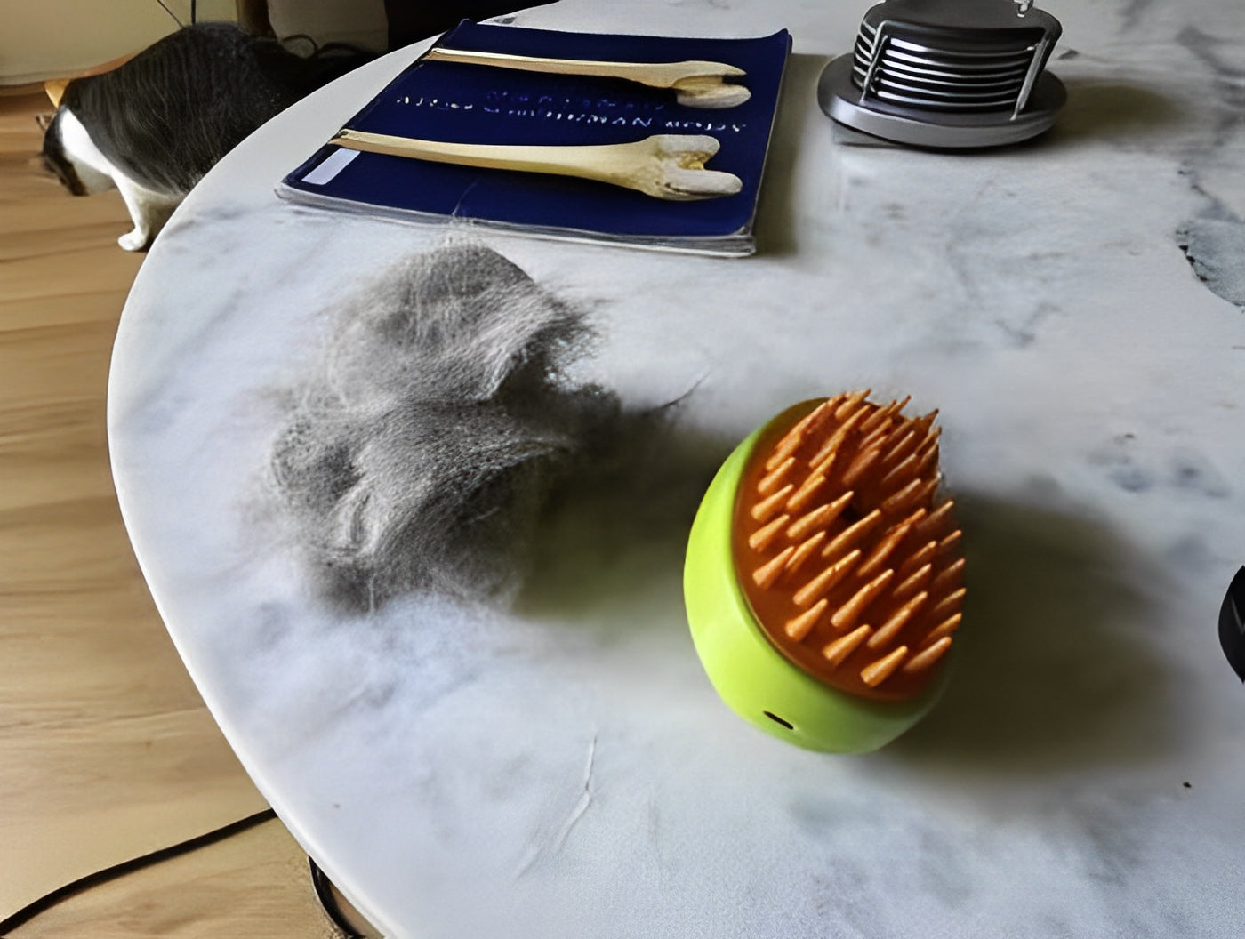 Cat brush for shedding control and coat shine - Customer review photo