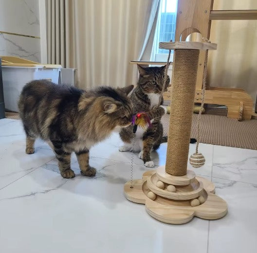 Cat with cat scratching post for satisfying scratching instincts and reducing stress. - Customer review photo