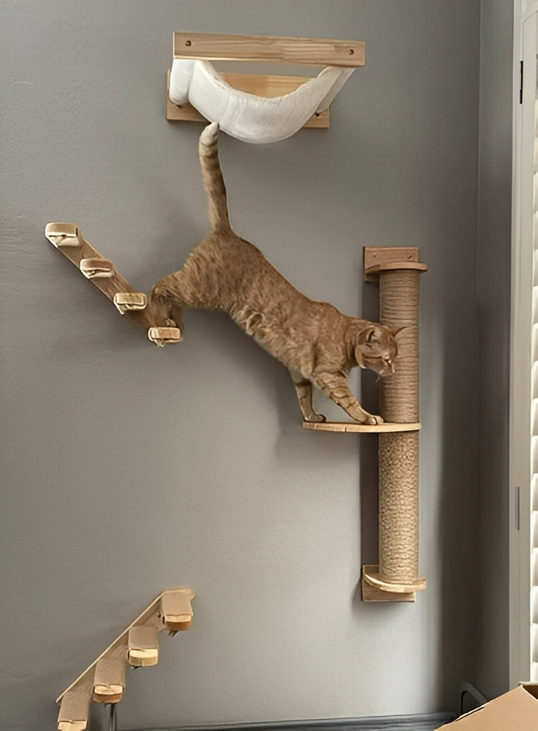Cat climb space-saving cat climbing wall design to keep your cat entertained while saving floor space - Customer review photo