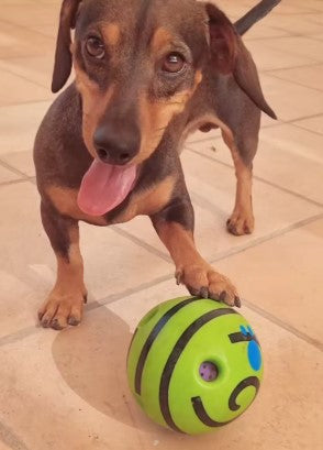 A dog play with a green dog ball toy on the ground - Customer review photo