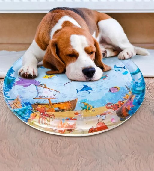 Dog resting comfortably on a round water-filled cooling mat for pets