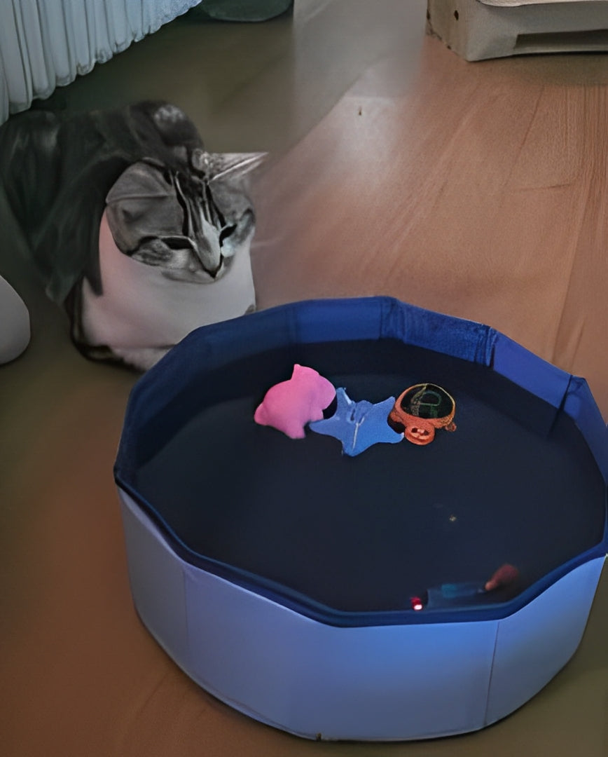 A playful cat curiously gazing at a polygon-shaped water pool toy, designed to be filled with water, featuring floating toys for interactive fun - Customer review photo