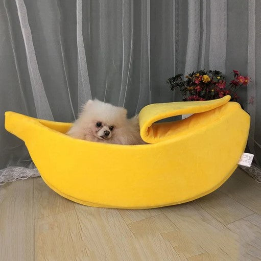 A dog in warm dog bed for autumn