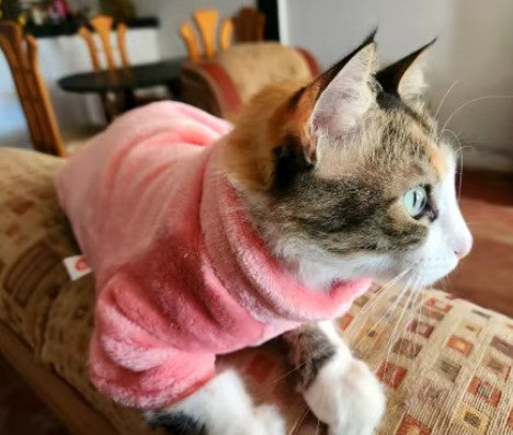 A cat wearing a cute pink outfit, lying down comfortably in a relaxed position - Customer review photo