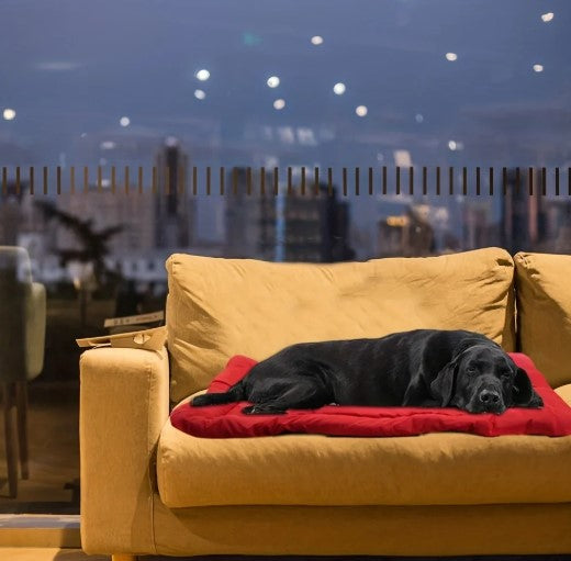 Black dog lying on a non-slip, waterproof pet mat placed on the sofa