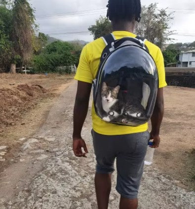 A man carrying a cat travel backpack with a cat lying inside, peeking out comfortably - Customer review photo