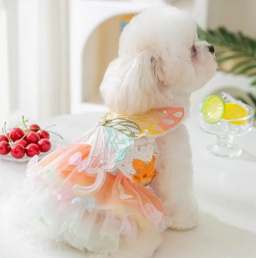 White dog wearing a colorful skirt with butterfly wings on the back