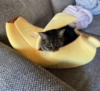 A small black kitten lying in a banana-shaped cat bed, looking outside - Customer review photo