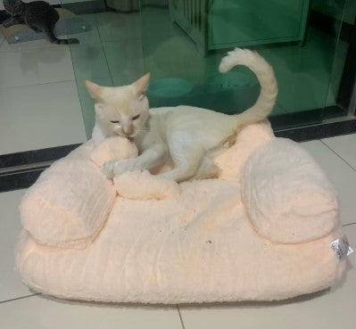 A white cat lying comfortably on a cat sofa, looking relaxed and cozy - Customer review photo